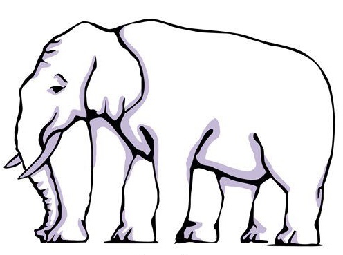 Optical illusion of an elephant with multiple legs.